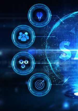 labelsoftware in SAP