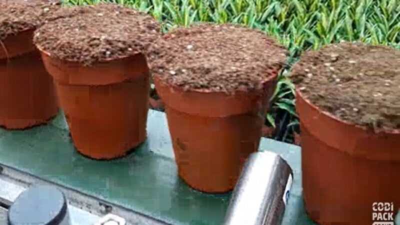 plantenpaspoort aanbrengen op plastic plantenpotjes